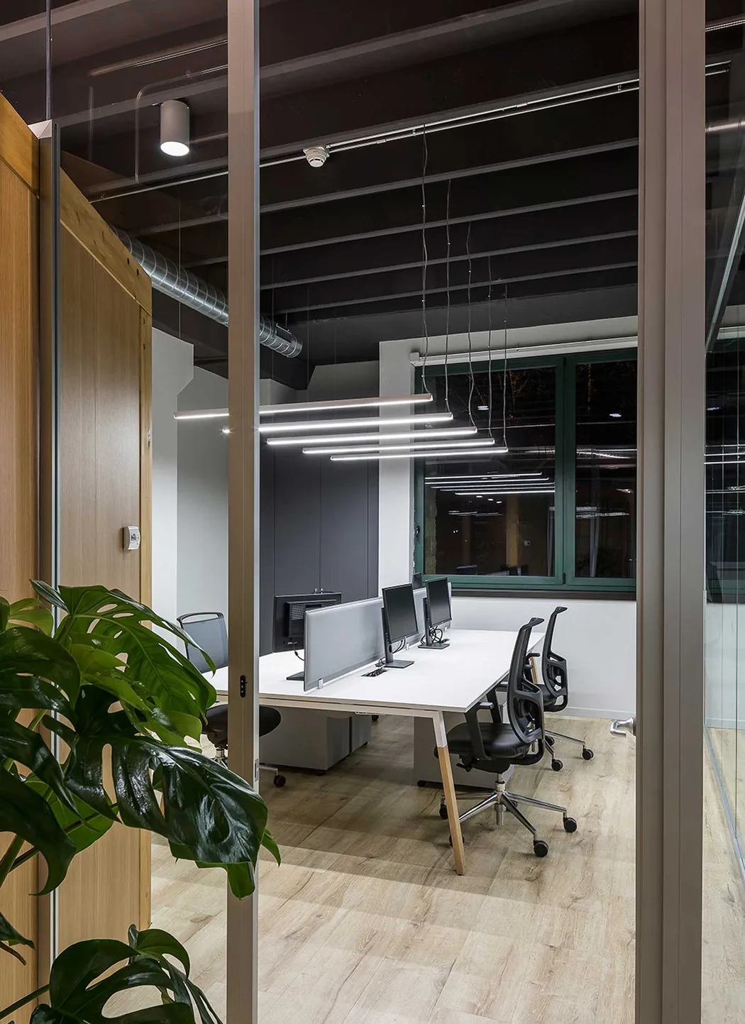 An office seen through a glass partition at night: desks with monitors under a run of linear pendant lights, and a large plant in the foreground.