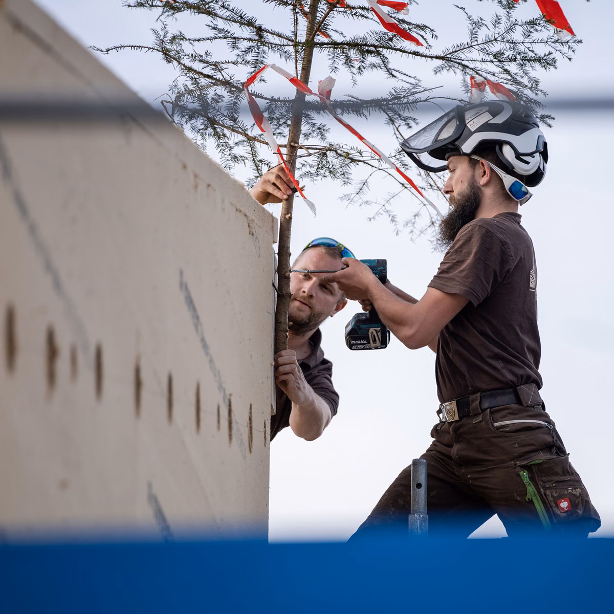 Riesen Holzbau AG carpenters in brown branded shirts fixing the topping-out tree with its ribbons to the timber frame